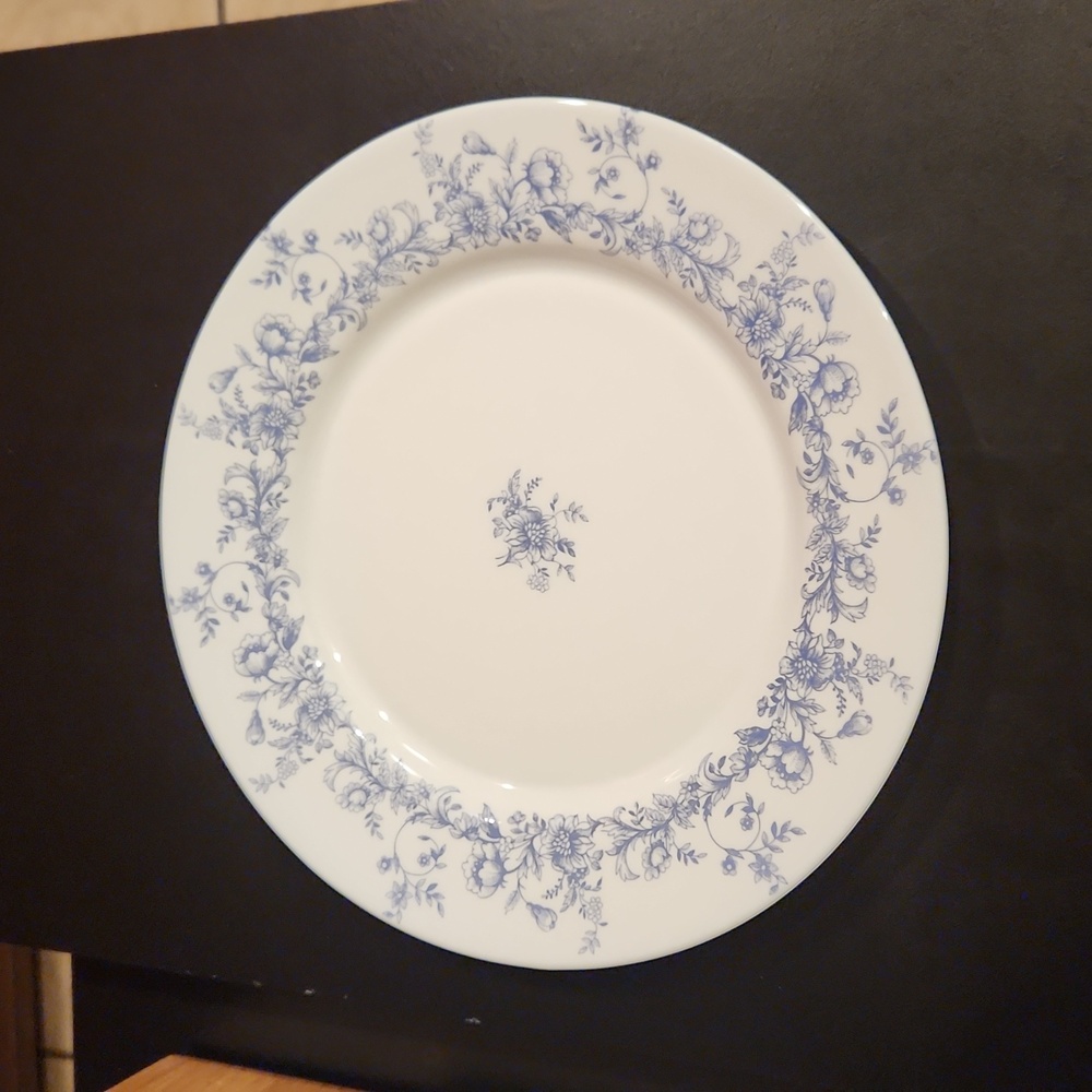 ACROPAL. DINNER PLATE + 2 free saucers